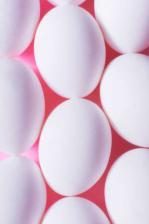 White egg on pink background. minimal concept. top view.