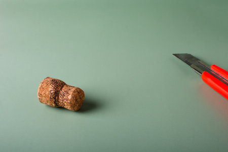 Recycling symbol and wine cork for secondary use.の写真素材