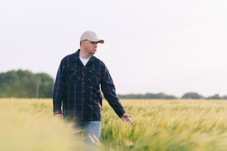 Checking the yield of grain crops at sunset. Man conducts experiments in field conditions. Agronomy.の写真素材