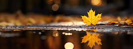 Autumn concept banner. A yellow maple leaf is reflected in a puddle after rain outside. Generative AIの素材