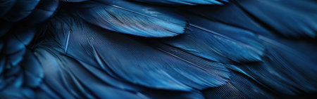A detailed look at the navy blue feathers of a bird, highlighting the intricate patterns and texturesの素材