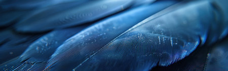 Detailed close-up of navy blue feathers of a bird, showcasing intricate patterns and textureの素材