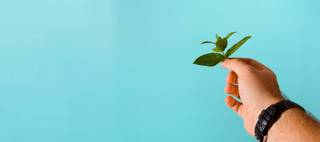 A hand holds a single sprig of fresh mint against a bright blue background. The image is simple, yet...