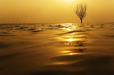 I took this photo at a Lake of chinaの写真素材