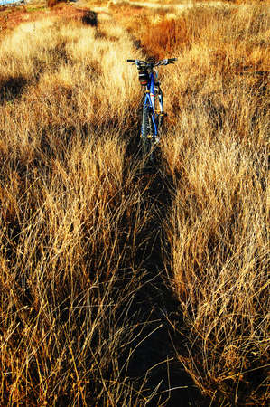 I found this place at the root of a hillの写真素材