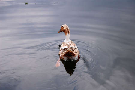 I took this photo in rainの写真素材