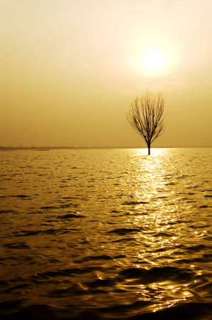 I took this photo at Weishan Lakeの写真素材