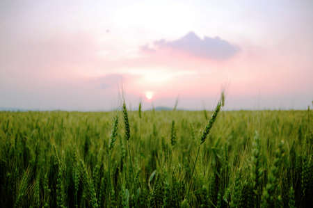 I take this photo at duskの写真素材