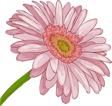 a beautiful pink flowerのイラスト素材