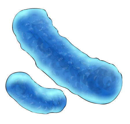 bacteria