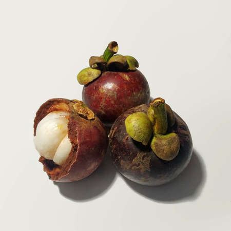 Mangosteen tropical fruitsの写真素材