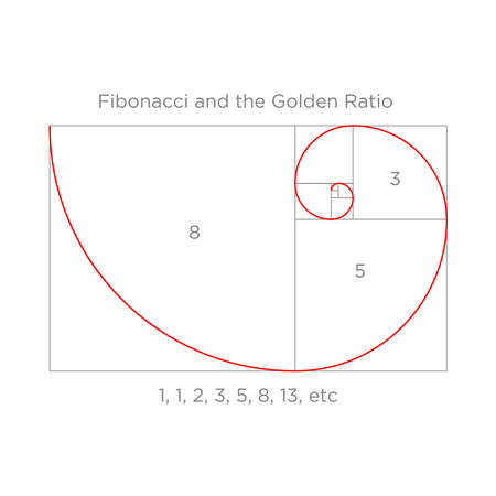Vector of Fibonacci or Golden Ratio - ID:139665550 - Royalty Free Image ...