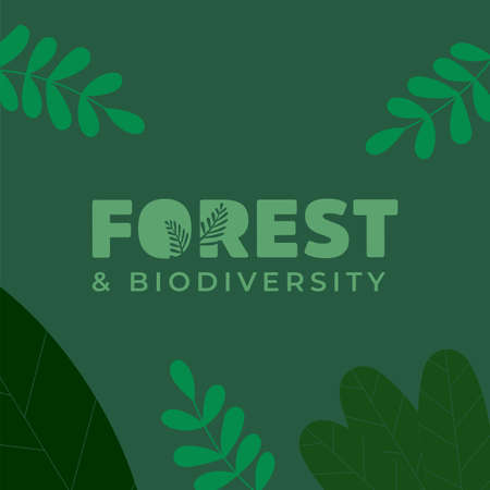 Design for celebrating International Day of Forest, march 21th in vector Illustration.のイラスト素材