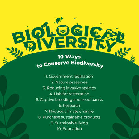 biodiversity poster in square composition for celebrating world environment dayのイラスト素材