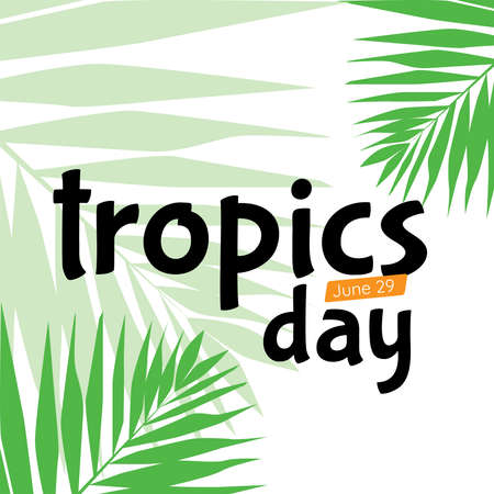 Illustration design of International Day of the Tropic. We are the topicsのイラスト素材