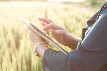Business woman using digital tablet in the fieldの写真素材