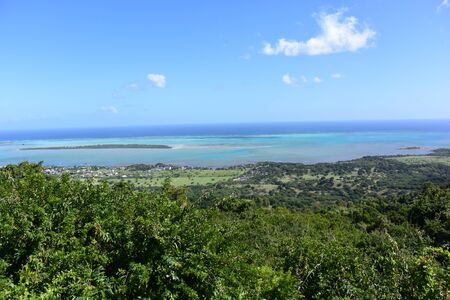 A close up of a green field with trees in the backgroundの写真素材