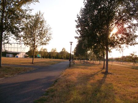A path with trees on the side of a roadundefinedの写真素材