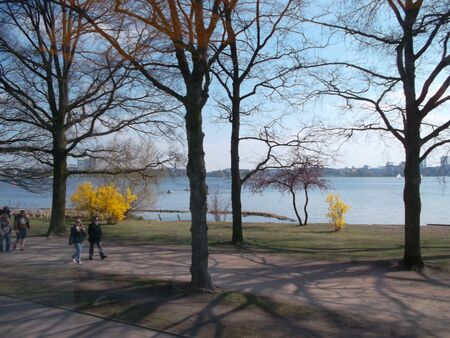 A bench in front of a treeの写真素材
