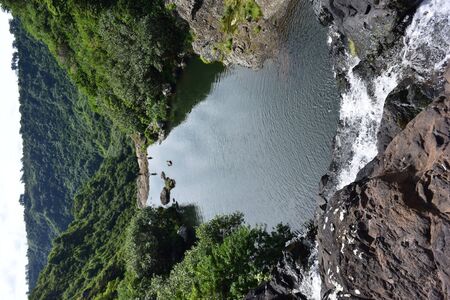 A rocky river with trees on the side of a mountainの写真素材