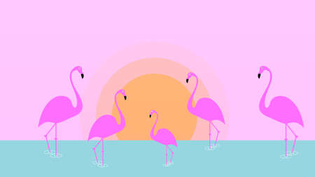 Flamingo bird illustration design on background. Minimal flat style.のイラスト素材