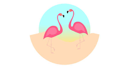 Flamingo bird illustration design on background. Minimal flat styleのイラスト素材