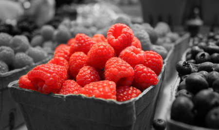 Red Raspberries on a Black and White Backgroundの写真素材