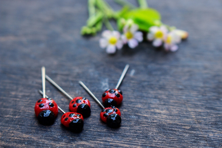 Moody Mood of Pins With Lady Bug Clay as Head and Flower on Black Wood  の写真素材