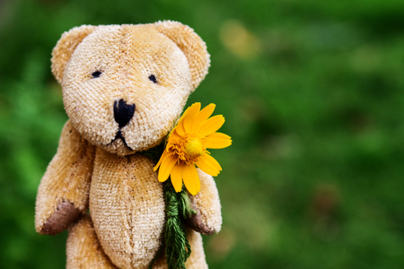 Little brown bear doll wear green scarf with yellow flower on the neckの写真素材