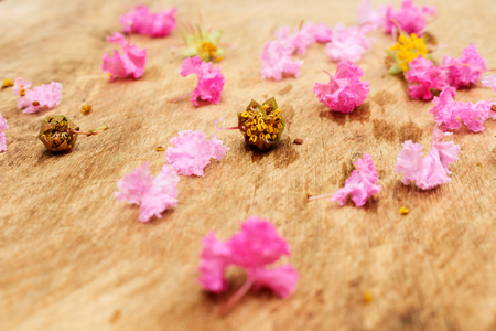 Flat Lay of Petal Pink Lagerstroemia indica or crepe myrtle on Wood Boardの写真素材