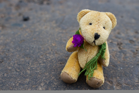 Top View Little Brown Bear Doll Wear green Scarf Holding Purple Flower Sitting in Grey Asphaltの写真素材