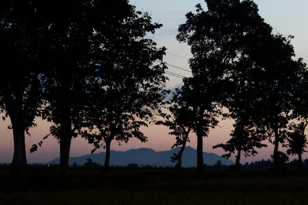 Sun Set Cause Silhouette Of Trees and Mountain and Orange Color in Evening Skyの写真素材