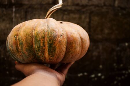 Hand Holding Big Ripe Pumpkin With Stalkの写真素材