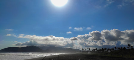 scenic beach view under bright sunlight, with waves crashing on the shore and palm trees lining the...