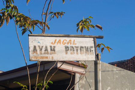 rustic sign in Indonesian, marking a chicken slaughterhouse, offering a glimpse into local...