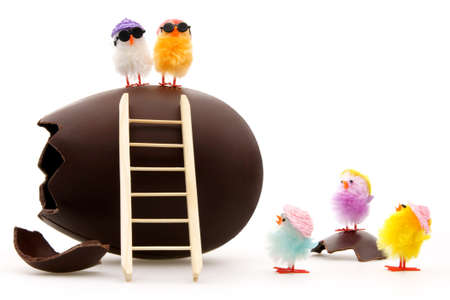 weird chicks