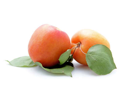 apricots on white backgroundの写真素材
