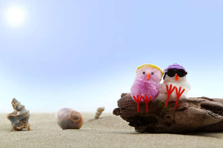 sweet chicks in love on the beachの写真素材