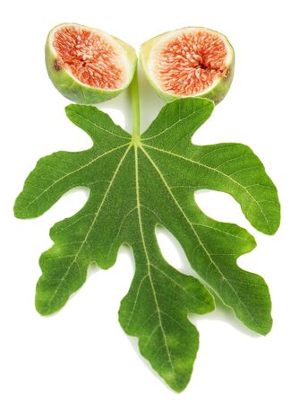 Ripe fresh green  fig fruit  and leaf on white backgroundの写真素材