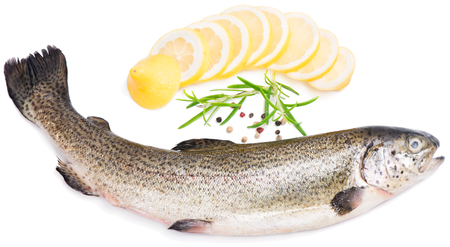 Fresh raw fish display with lemon and spices isolated on a white backgroundの写真素材