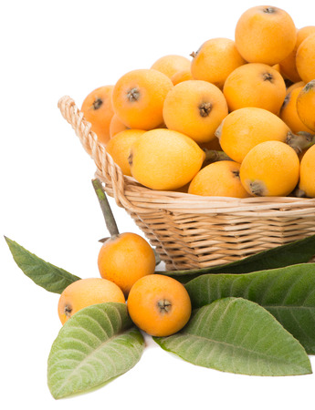 basket full of loquat fruits の写真素材