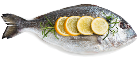 Top view of one fresh dorada fishes with lemon isolated on white background.の写真素材