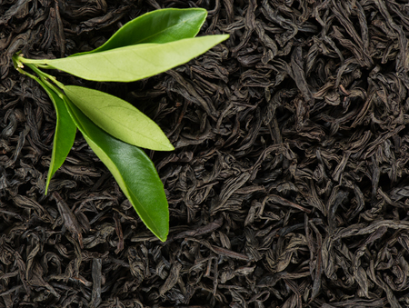 Macro shot of dried black tea leaves as a background and green leaves.の写真素材