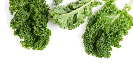 Top view of raw leaves of kale isolated on white background.