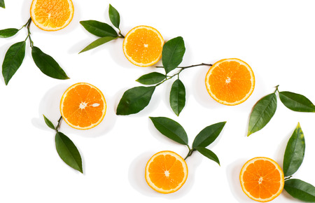 Composition with twigs of orange tree and fruits isolated on white background. Above view. の写真素材