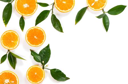 Pattern with orange fruits and green leaves isolated on white background.の写真素材
