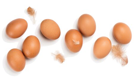 Top view of eggs and feathers of a brown chicken egg, isolated on a white background.