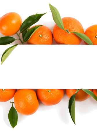 Paper card on the fresh tangerines with green leaves isolated on a white background. Top view.の写真素材
