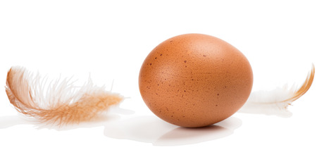 Brown chicken egg and feathers isolated on white background.の写真素材