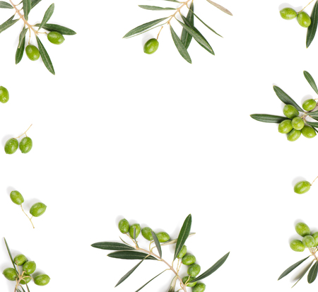 Frame or borders made of fresh green olive fruit with leaves isolated on white background. Top view.の写真素材